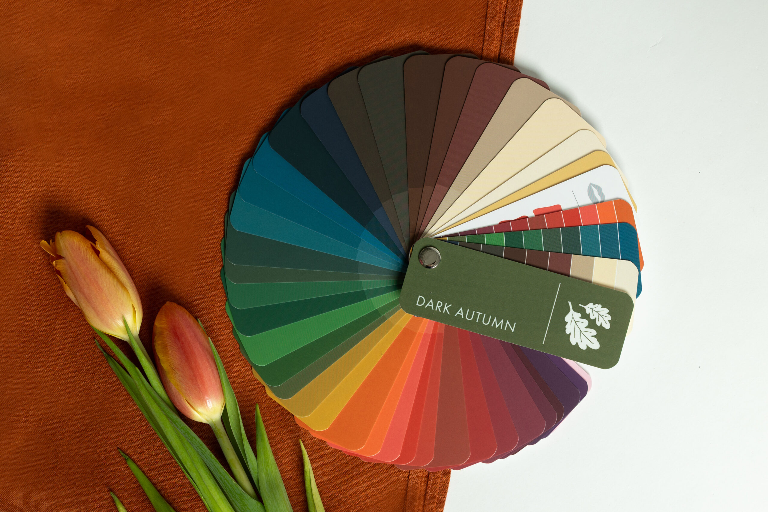 Henkariin Dark Autumn-väripaletti